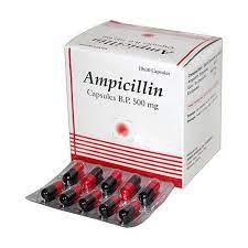Ampicillin Capsules IP
